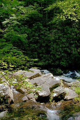 25_trailview-2b