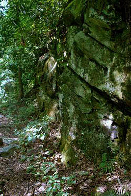 26_trail_wall