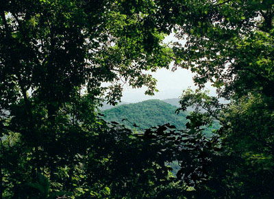 27_road view1