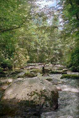 32_rockgarden