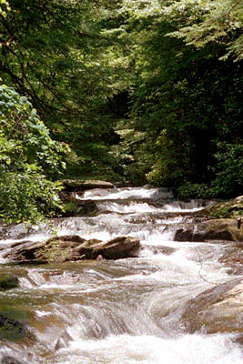 36_meander
