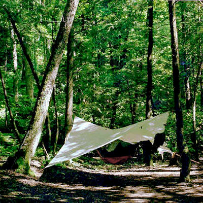 38_hammock