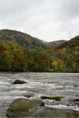 new-lastcamp-rapids6