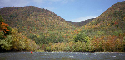new-matt-rouding-rapid-approach