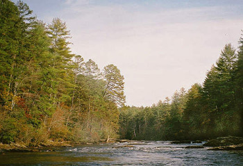 river-vee